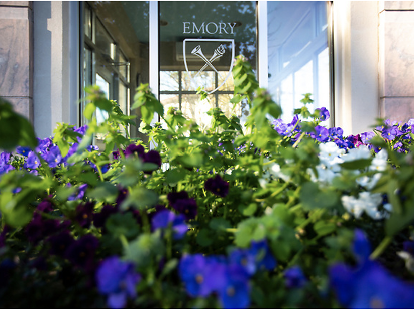 Purple flowers in front of a door with the Emory seal engraved on it